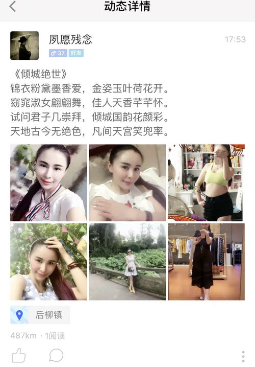 找高人解释这首诗的含义