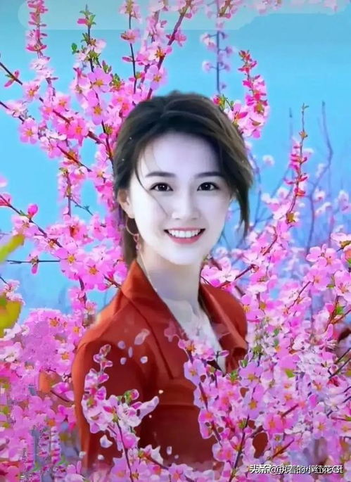 我诗你续 我联你对